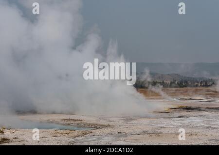 Éruption de myser dans le bassin inférieur du Geyser, dans le parc national de Yellowstone, Wyoming, États-Unis. Banque D'Images