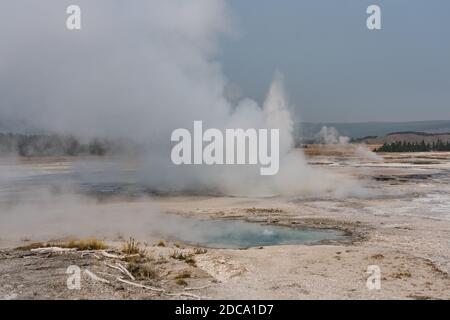 Un geyser de clopsydra éclate avec le spasme geyser bouillant au premier plan dans le bassin inférieur du Geyser, dans le parc national de Yellowstone, Wyoming, États-Unis. Banque D'Images