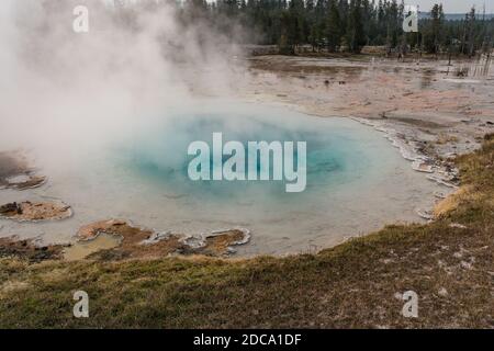 De la vapeur s'élève au large de Silex Spring dans le bassin inférieur du Geyser, dans le parc national de Yellowstone, Wyoming, aux États-Unis. Banque D'Images