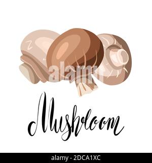 Illustration plate faite à la main de champignons champagnes avec lettrage. Nourriture naturelle saine et citation de calligraphie. Elément de dessin animé de couleur vectorielle pour le menu Illustration de Vecteur