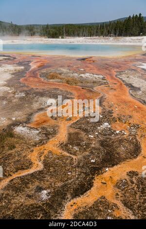 Eau chaude avec un tapis de drains thermophiles colorés De la piscine arc-en-ciel comme la vapeur s'élève dans le noir Bassin de sable de Yellowstone National par Banque D'Images