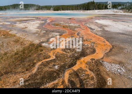 Eau chaude avec un tapis de drains thermophiles colorés De la piscine arc-en-ciel comme la vapeur s'élève dans le noir Bassin de sable de Yellowstone National par Banque D'Images