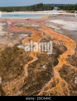 Eau chaude avec un tapis de drains thermophiles colorés De la piscine arc-en-ciel comme la vapeur s'élève dans le noir Bassin de sable de Yellowstone National par Banque D'Images