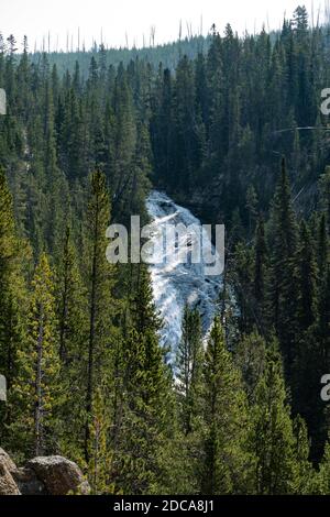 Les Cascades de Virginie sont une cascade de type cascade sur la rivière Gibbon dans le parc national de Yellowstone dans le Wyoming, aux États-Unis. Banque D'Images