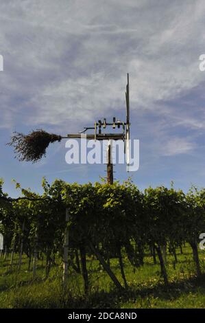 klopotec, écarteur d'oiseaux dans un vignoble autrichien, un jour d'été nuageux, au sud de la styrie Banque D'Images