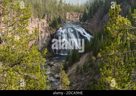 Gibbon Falls sur la rivière Gibbon descend à environ 84 pieds dans le parc national de Yellowstone dans le Wyoming, États-Unis. Banque D'Images