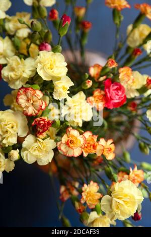 Vue de dessus des œillets dans le vase Banque D'Images