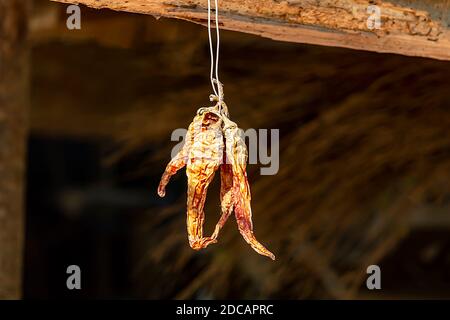sécher sous un toit, protection solaire. Banque D'Images