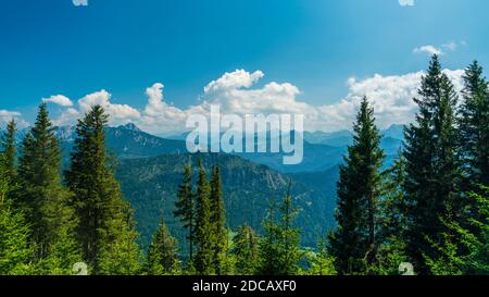 Allemagne, Allgaeu, vue sur les montagnes sans fin et les sommets des alpes vus du sommet d'edelsberg, vue aérienne au-dessus des sommets des arbres Banque D'Images