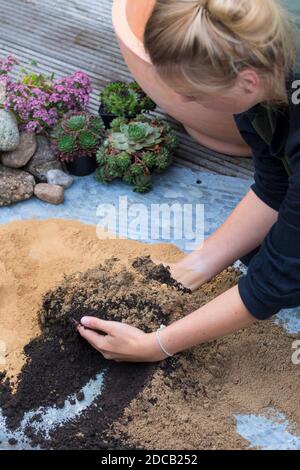 Faire un mini sandarium pour les abeilles sauvages, mélange de sable, d'argile et de sol est rempli dans un bol, série image 8/18, Allemagne Banque D'Images