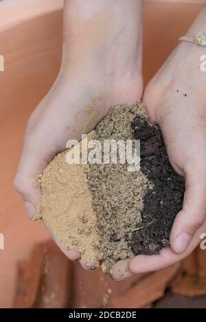 Faire un mini sandarium pour les abeilles sauvages, mélange de sable, d'argile et de sol est rempli dans un bol, série image 12/18, Allemagne Banque D'Images