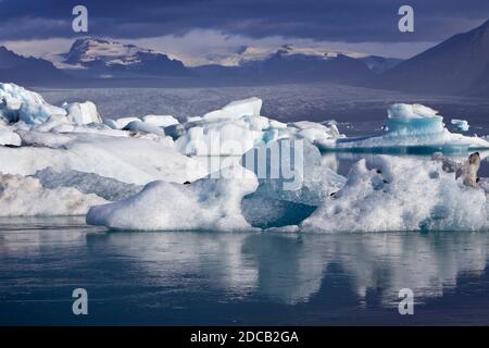 lagon des glaciers Joekulsarlon, Islande, Islande de l'est, parc national de Vatnajoekull, Joekulsarlon Banque D'Images