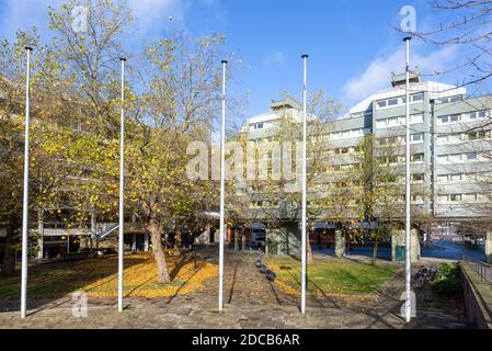 Arbres en automne Priory Street, Université de Coventry, Coventry, West Midland, Angleterre, Royaume-Uni Banque D'Images