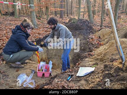 20 novembre 2020, Brandenburg, Sauen: Les deux étudiants Laura et Felix, étudiant l'écologie et la planification environnementale à l'Université technique de Berlin, prélever des échantillons de sol dans une forêt mixte avec des hêtres et des pins dans le quartier forestier des truies de la Fondation août Bier. Le district forestier de la Fondation août Bier est en cours de conversion durable des forêts depuis plus de 100 ans. Les deux étudiants de tu Berlin acquièrent diverses connaissances sur la structure du sol dans la forêt, comme les effets du changement climatique et du stockage du CO2. Une attention particulière est accordée à la couche d'humus de la forêt Banque D'Images