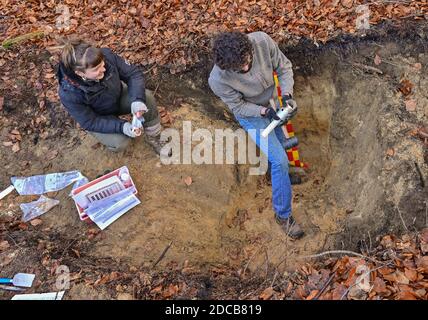 20 novembre 2020, Brandenburg, Sauen: Les deux étudiants Laura et Felix, étudiant l'écologie et la planification environnementale à l'Université technique de Berlin, prélever des échantillons de sol dans une forêt mixte avec des hêtres et des pins dans le quartier forestier des truies de la Fondation août Bier. Le district forestier de la Fondation août Bier est en cours de conversion durable des forêts depuis plus de 100 ans. Les deux étudiants de tu Berlin acquièrent diverses connaissances sur la structure du sol dans la forêt, comme les effets du changement climatique et du stockage du CO2. Une attention particulière est accordée à la couche d'humus de la forêt Banque D'Images