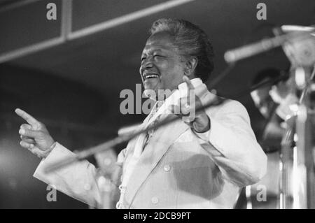 Ilinois Jacquet, Festival de Jazz de la Mer du Nord, la Haye, pays-Bas, 1993. Banque D'Images