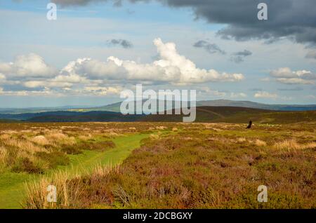 Vue sur les collines de l'église Stretton dans le Shropshire. L'herbe verte luxuriante et la bruyère de montagne avec le ciel bleu avec des nuages blancs sur un jour ensoleillé doré Banque D'Images