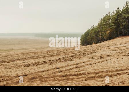 Désert de Bledow (pustynia bledowska) Le plus grand désert de sable de la région de Silésie en Pologne Banque D'Images