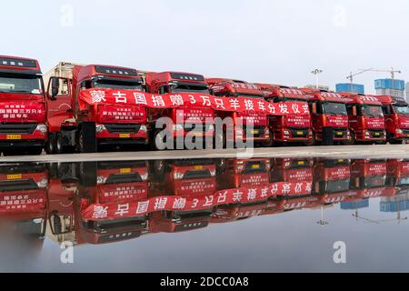 Wuhan, Hebei, Chine. 20 novembre 2020. Une cérémonie de distribution sur les moutons donnés par la Mongolie à l'appui du combat COVID-19 de la Chine a lieu à Wuhan, dans la province de Hubei en Chine centrale, le 20 novembre 2020. Le bureau du commerce de Hubei a annoncé vendredi que les 30,000 moutons, que la Mongolie a donnés, seront distribués aux travailleurs médicaux nationaux qui ont contribué à la lutte de la province contre le COVID-19. Credit: Xinhua/Alay Live News Banque D'Images