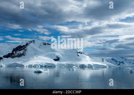 Icebergs flottant dans la grenouille d'Elephant Island, Antarctique Banque D'Images