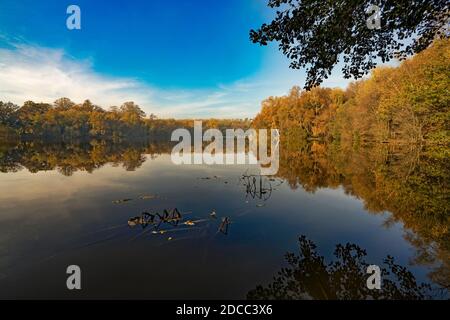 Bassin du moulin de Slaugham, Slaugham, West Sussex, Angleterre, Royaume-Uni. Banque D'Images