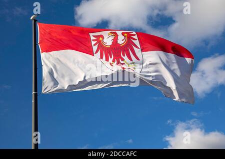 Koblenz, Allemagne. 17 novembre 2020. Drapeau de l'état de Brandebourg avec armoiries. Koblenz, 17 novembre 2020 | usage Worldwide Credit: dpa/Alay Live News Banque D'Images