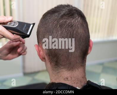 Une vue arrière d'un adolescent ayant ses cheveux couper avec des tondeuses à la maison Banque D'Images