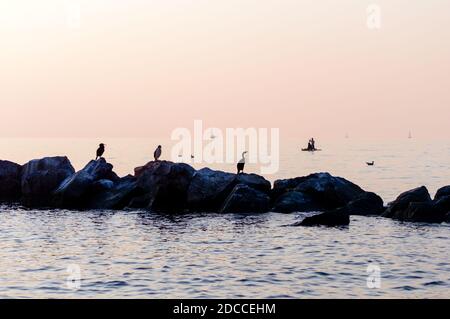 Coucher de soleil sur le front de mer de Barcola (Trieste, Italie), trois cormorans sur les rochers et un couple pagayant en arrière-plan Banque D'Images