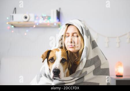 Portrait d'un chien terrier du staffordshire avec sa propriétaire en couvertures. La joie des animaux domestiques à la maison ou pendant le verrouillage ou l'auto-isolement, saison froide d'hiver Banque D'Images