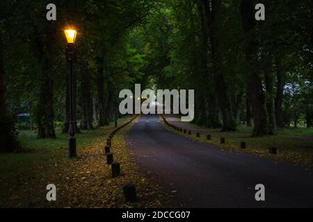 Des lampadaires illuminent une route qui traverse le parc parmi les arbres, Huntly, Écosse, Royaume-Uni Banque D'Images