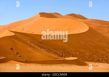 Le Namib-NAUKLUFT PARK, Désert du Namib, NAMIBIE DUNES DANS SOSSULSVLEI Banque D'Images