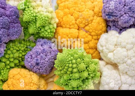 Gros plan sur des choux-fleurs colorés Banque D'Images