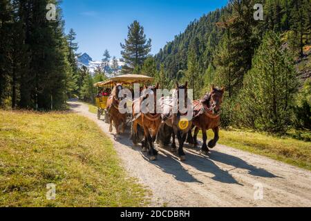 Val Roseg, Suisse – 20 septembre 2019 : les touristes qui profitent d'une promenade en calèche dans la vallée de Roseg (Engadin, Grisons) Banque D'Images