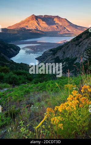 WA18328-00...WASHINGTON - vue tôt le matin du lac Spirit et du mont St. Helens depuis Norway Pass, 40 ans à l'éruption, dans le mont St. Helens Nati Banque D'Images