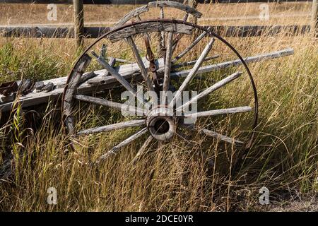 Un vieux wagon pionnier en panne avec des roues à rayons de bois sur un ranch de l'Idaho. Fait maintenant partie d'un musée privé. Banque D'Images