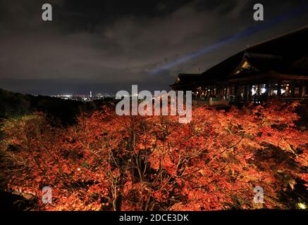 Kyoto, Japon. 20 novembre 2020. Les feuilles d'automne, principalement des érables, sont illuminées au temple de Kiyomizudera, un site du patrimoine mondial de Kyoto, le vendredi 20 novembre 2020. Les gens ont apprécié le feuillage d'automne coloré dans l'ancienne capitale du Japon lors de trois vacances d'automne consécutives. Credit: Yoshio Tsunoda/AFLO/Alay Live News Banque D'Images