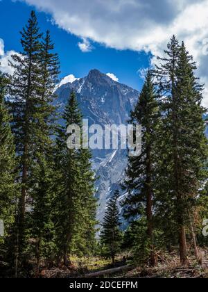 Mt. Sneffels de la piste des Blue Lakes, forêt nationale d'Uncompahgre, Ridgway, Colorado. Banque D'Images