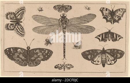 Venceslaus Holar, (artiste), Bohemian, 1607 - 1677, Dragonfly, ladybirds et papillons, Diversye insectorum figurae, (série), gravure Banque D'Images