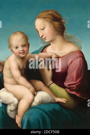 Raphael, (artiste), Marchigian, 1483 - 1520, la Madonna Niccolini-Cowper, 1508, huile sur panneau, total: 80.7 x 57.5 cm (31 3/4 x 22 5/8 po.), encadré: 118.4 x 97.2 x 8.6 cm (46 5/8 x 38 1/4 x 3 3/8 po Banque D'Images