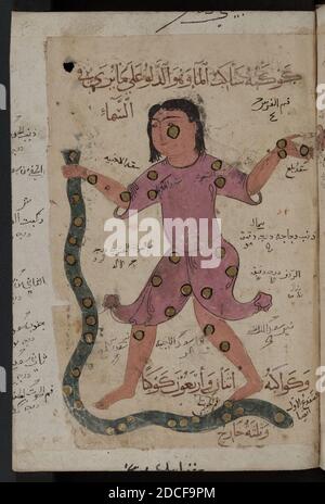 Kitab al-Bulhan --- homme et serpent. Banque D'Images