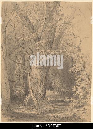 Walter Shirlaw, (artiste), américain, 1838 - 1909, arbre et feuillage, probablement c. 1873, graphite sur papier vélin, feuille : 30.3 × 22.9 cm (11 15/16 × 9 po Banque D'Images