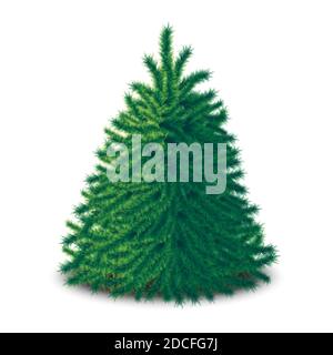 3d réaliste vecteur bushy arbre de Noël non orné isolé sur fond blanc. Illustration de Vecteur