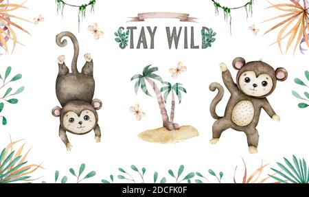 Mignon bébé singes dessin à la main adorable aquarelle animaux africains illustration sur fond blanc. Motif sans couture Banque D'Images