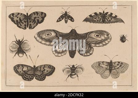 Venceslaus Hollar, (artiste), Bohemian, 1607 - 1677, Moth, papillons et abeilles, Diversye insectorum figurae, (série), gravure Banque D'Images