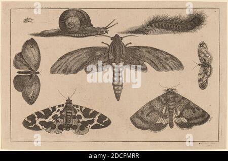 Venceslaus Holar, (artiste), Bohemian, 1607 - 1677, six insectes, une chenille, et un escargot, Diversye insectorum figurae, (série), gravure Banque D'Images