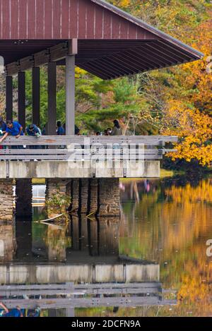 Les familles profitent d'une belle journée d'automne au parc national de Vogel, dans les montagnes de la Géorgie du Nord. (ÉTATS-UNIS) Banque D'Images