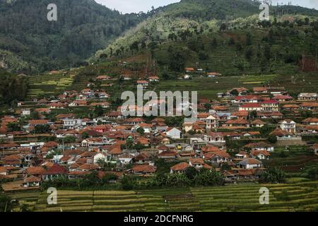 Sumedang, Indonésie. 21 novembre 2020. Vue du village du tabac à Sumedang.selon l'Association indonésienne des producteurs de tabac (APTI), si le gouvernement augmente de nouveau les taxes d'accise sur les cigarettes en 2021, le tabac et les bâtonnets de cigarettes ne seront pas absorbés par le marché. Les ventes de cigarettes baisseront également en raison du prix élevé des cigarettes. Cette condition a été aggravée par l'impact de la pandémie COVID-19. Crédit : SOPA Images Limited/Alamy Live News Banque D'Images