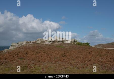 Affleurement rocheux de Granite Boulders entouré par l'automne Bracken sur Moorland par la côte sur l'île de Bryher dans les îles de Scilly, Angleterre, Royaume-Uni Banque D'Images