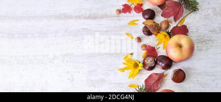 pommes rouges, brunes, fleurs jaunes avec des feuilles dans la vie automnale encore sur fond blanc Banque D'Images