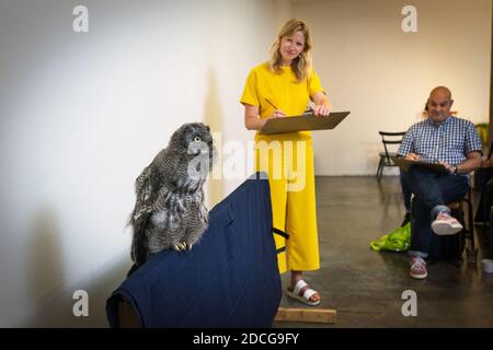 Personnes assistant à un cours d'art de dessin de la vie en soirée, dirigé par Jennie Webber, dessin d'aigles-hiboux du Bengale et d'autres animaux sauvages, Londres, Royaume-Uni Banque D'Images